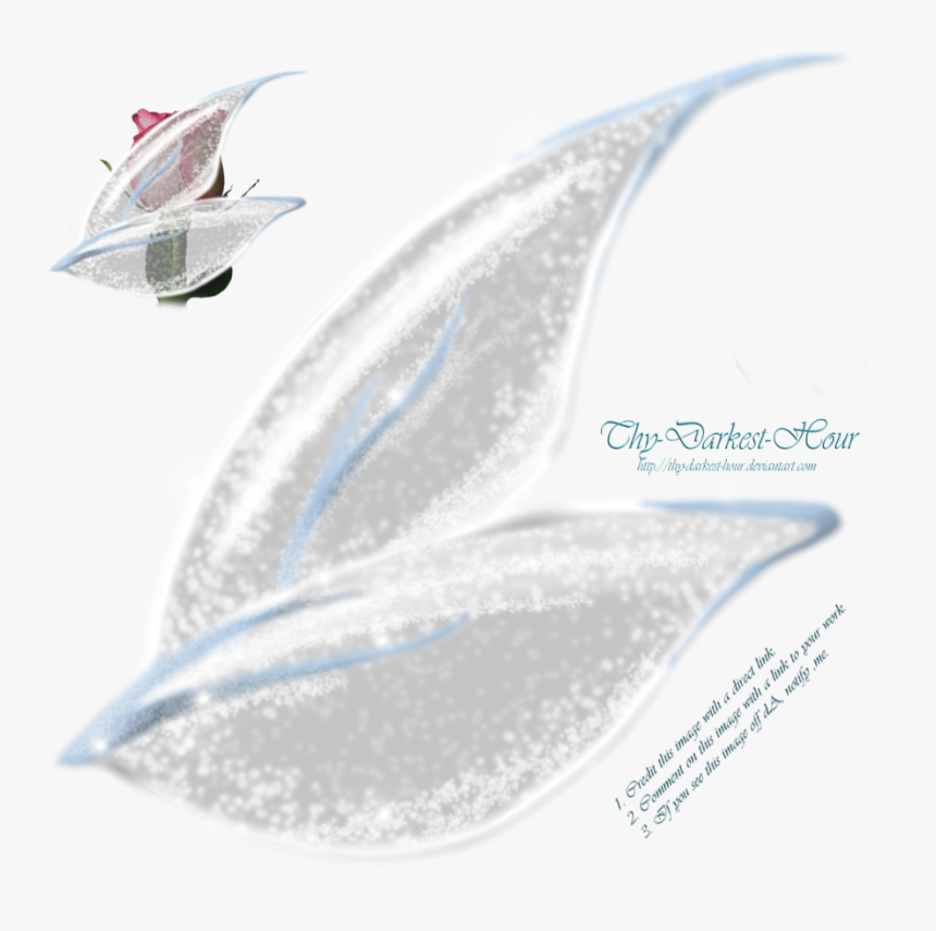 Fairy Wings Side View Png - Free Png Fairy Wings, Transparent Png, Free Download