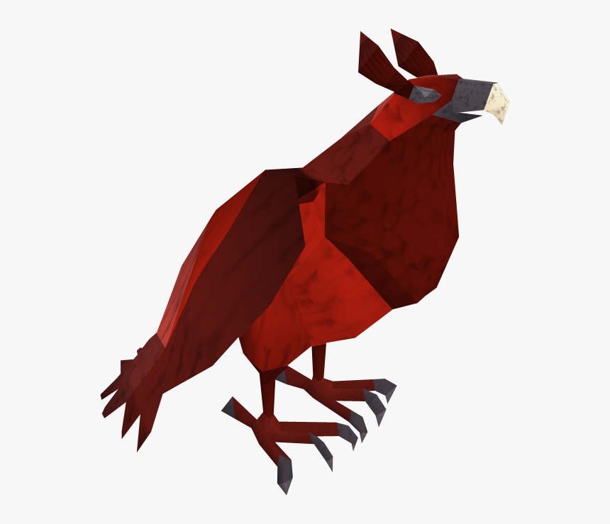 Runescape Birds, HD Png Download, Free Download
