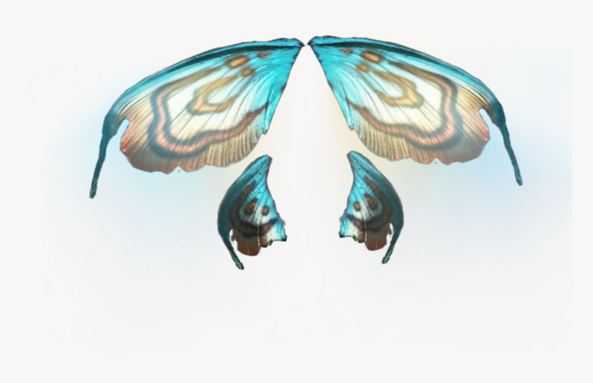 #fairy #wings #fantasy #fairies #wing - Papilio Machaon, HD Png Download, Free Download