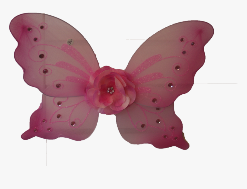 Butterfly, HD Png Download, Free Download