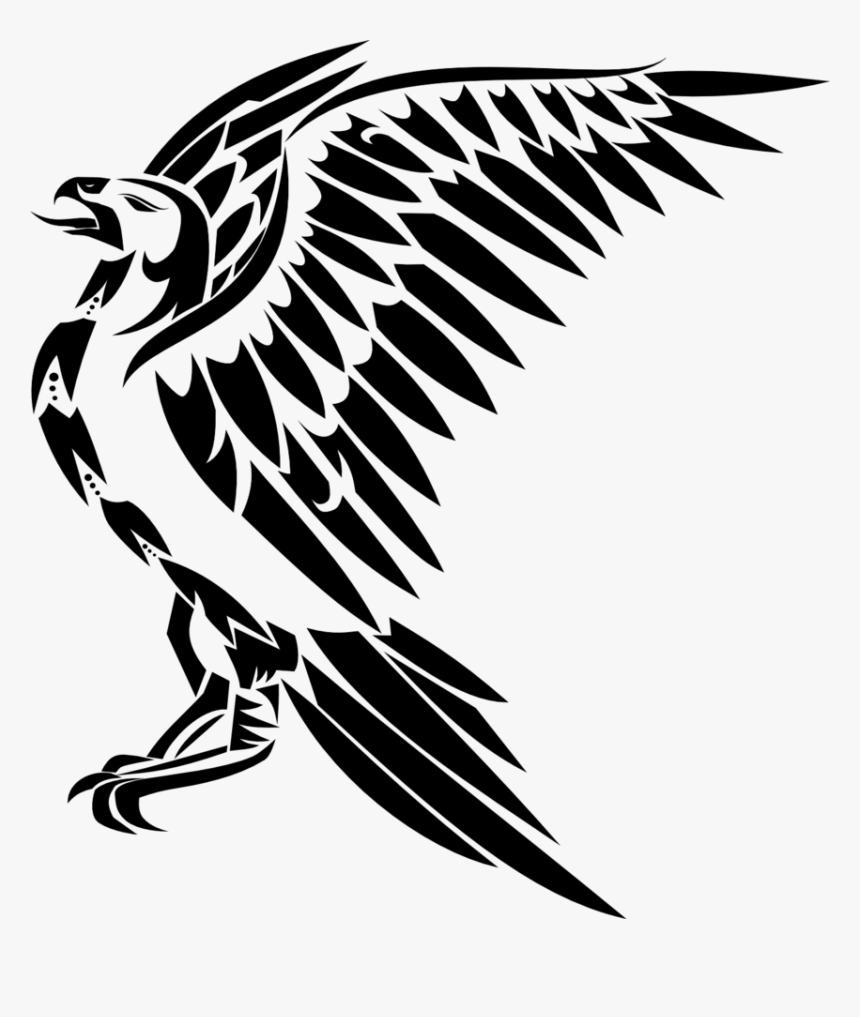 Black And White Hawk Drawing, HD Png Download, Free Download