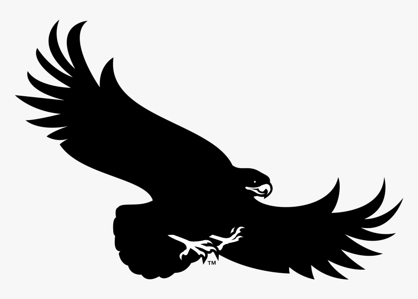 Saint Joseph"s Hawks Logo Black And White - Doctors Charter School Logo, HD Png Download, Free Download