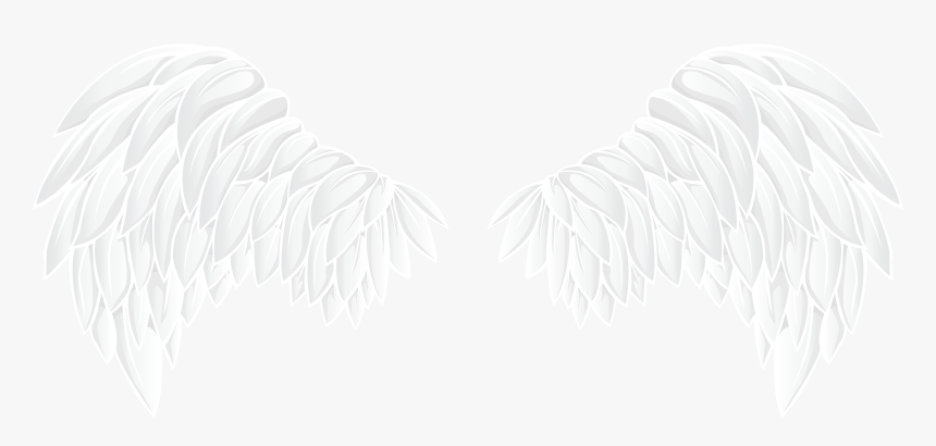 Wings Clipart Png - White Wings Png, Transparent Png, Free Download