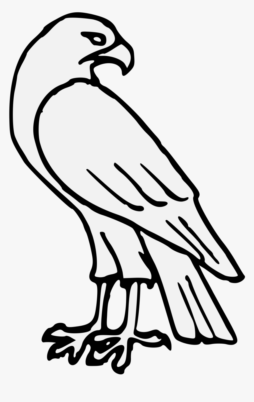 Hawk - Easy Drawing Of A Hawk, HD Png Download, Free Download