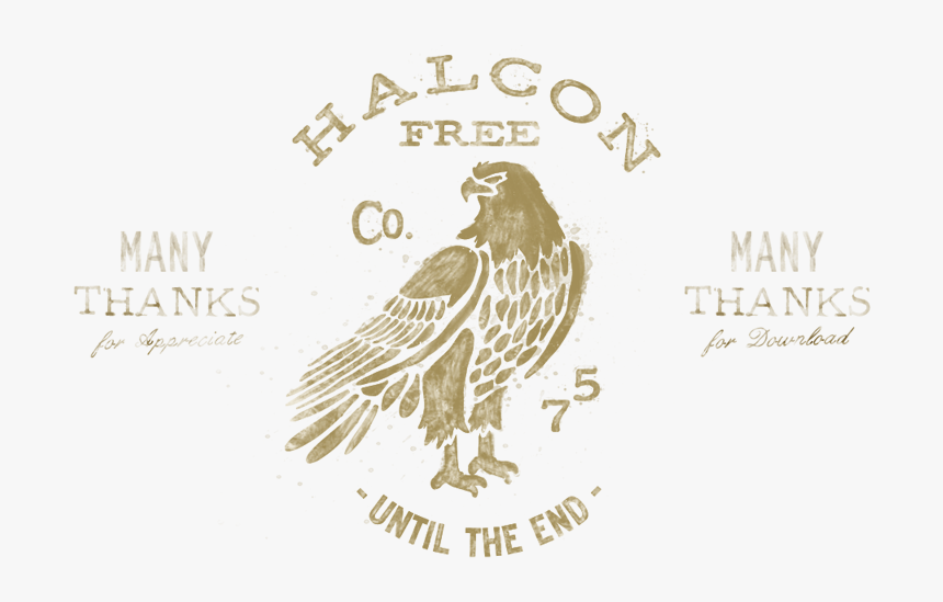 Transparent Vintage Badge Png - Hawk, Png Download, Free Download