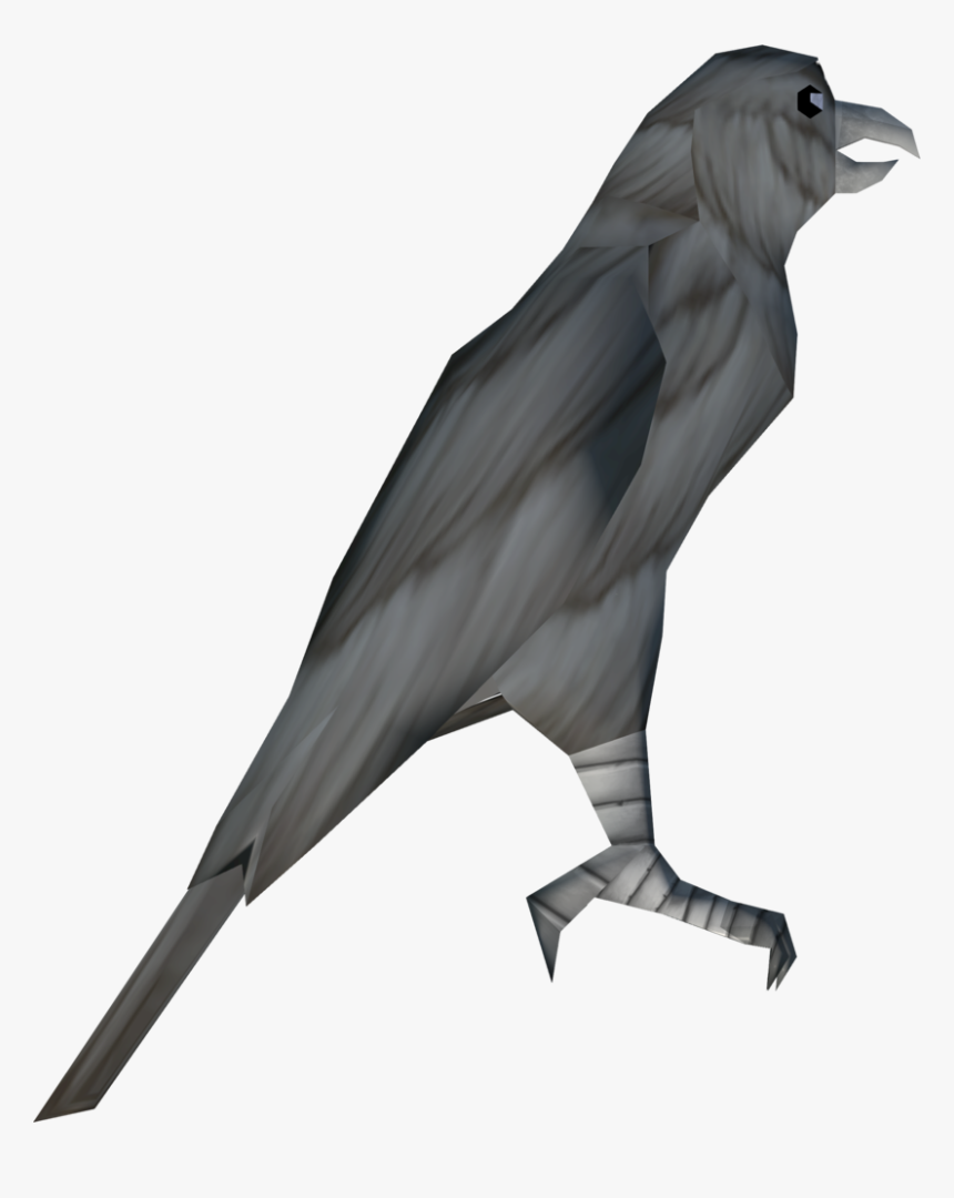 American Crow, HD Png Download, Free Download