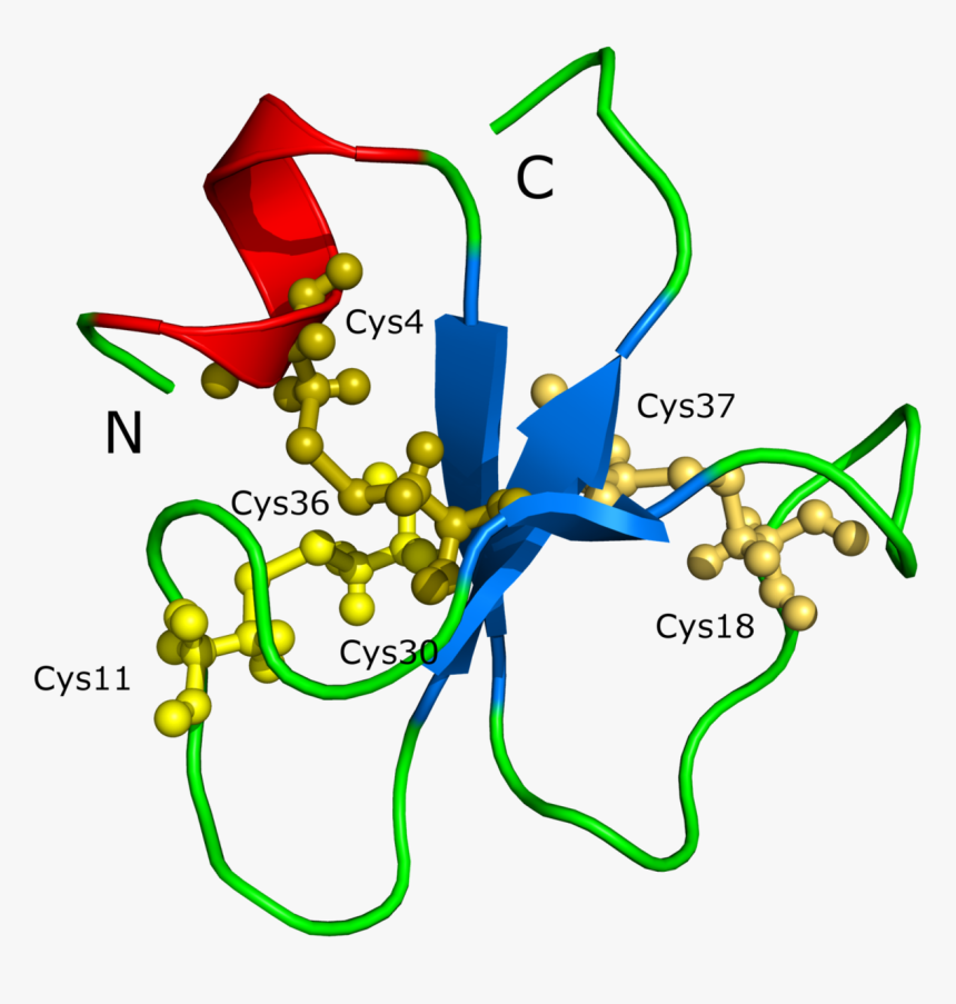 Inland Taipan Venom Chemical Structure, HD Png Download, Free Download