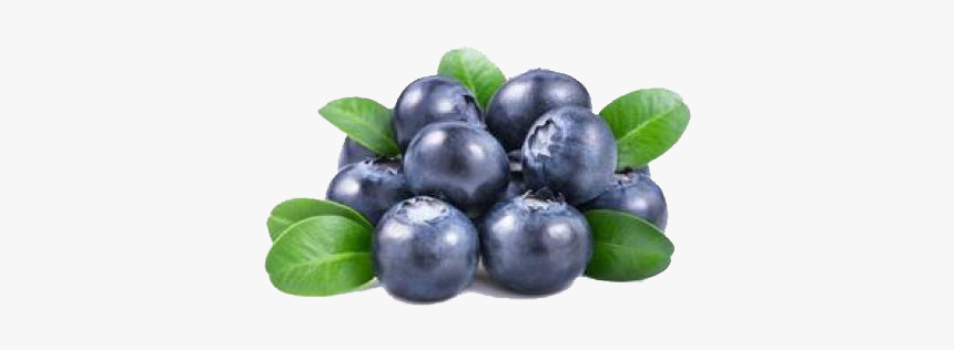 Blueberry Png Background Images - Blue Transparent Background Blueberry Png, Png Download, Free Download