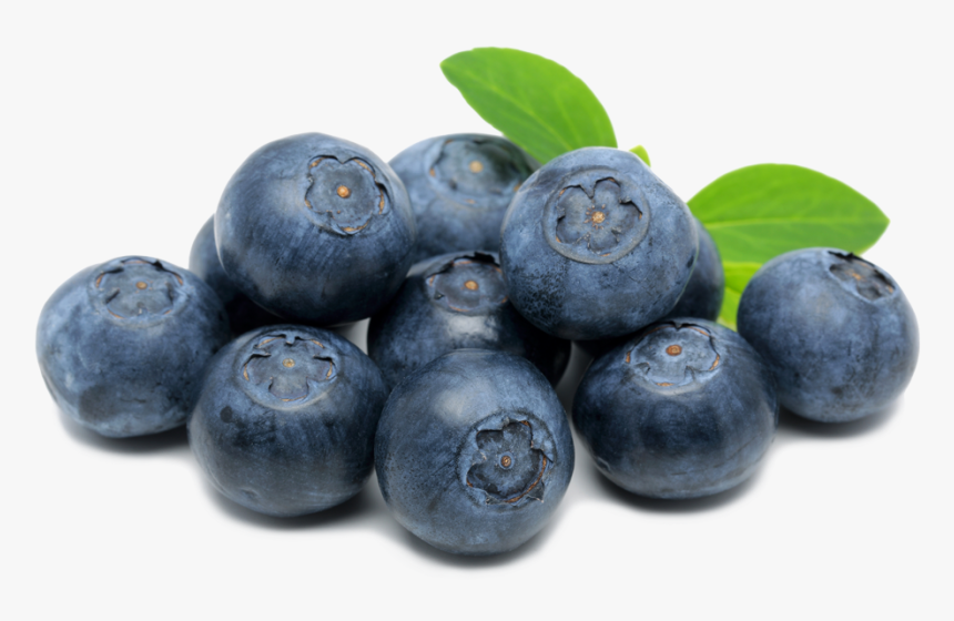 Blueberries Png Hd Image - Blueberry On Transparent, Png Download, Free Download