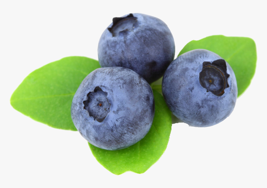 Blueberry Png Free Download - Blueberry Images Free, Transparent Png, Free Download
