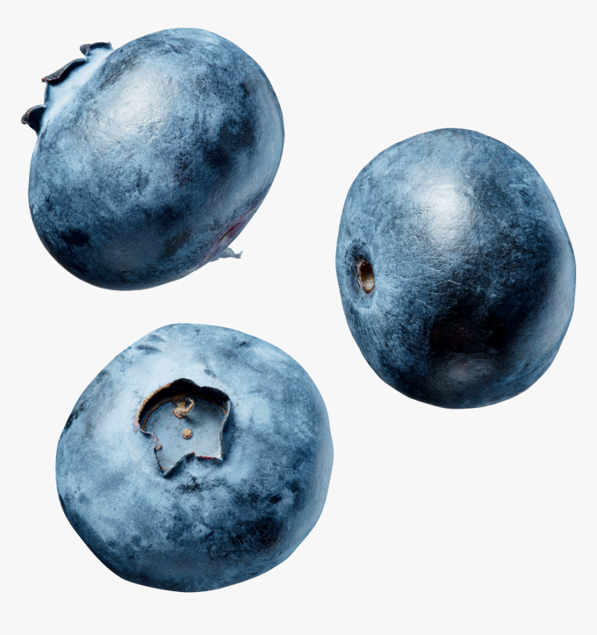 Blue Berry Png, Transparent Png, Free Download