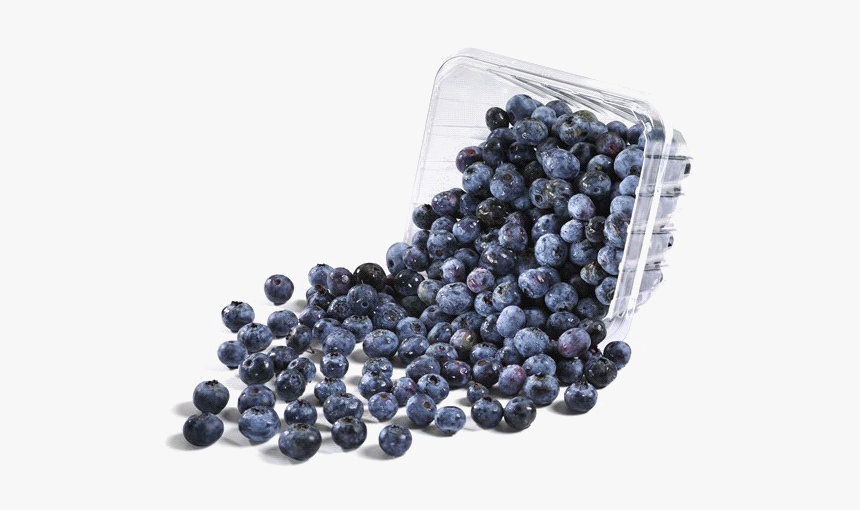 Blueberries Png Image Background - Bilberry, Transparent Png, Free Download