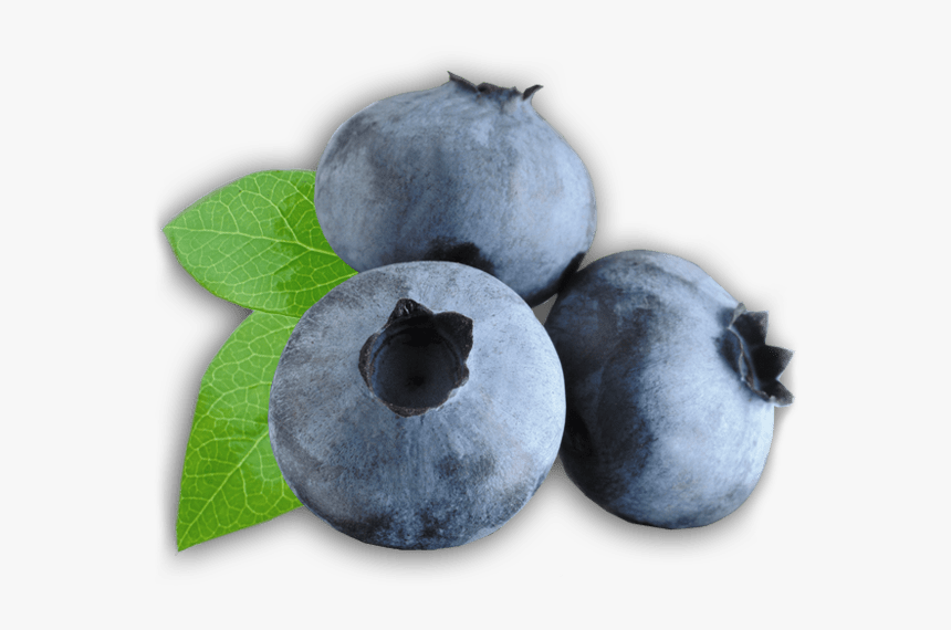Zoom On Blueberries - Real Life Oran Berry, HD Png Download, Free Download