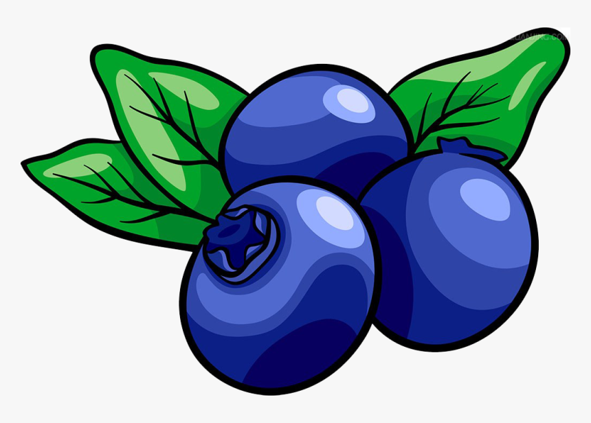 Transparent Blueberry Muffin Clipart Blueberry Clipart Png, Png