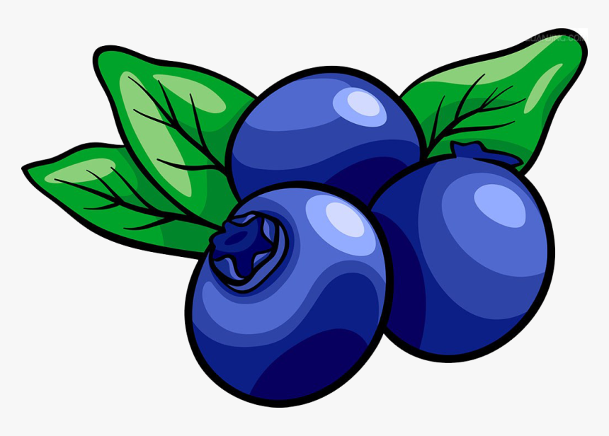 Transparent Blueberry Muffin Clipart - Blueberry Clipart Png, Png Download, Free Download