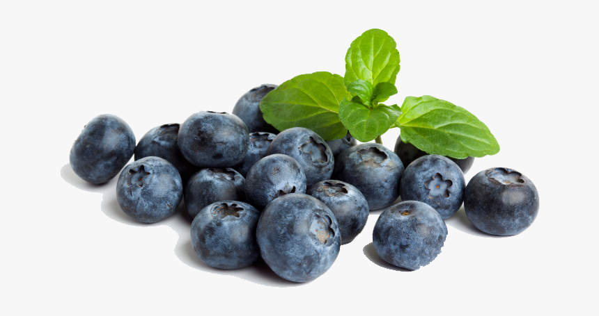 Blueberry Png File1 - Healthy Blueberries, Transparent Png, Free Download