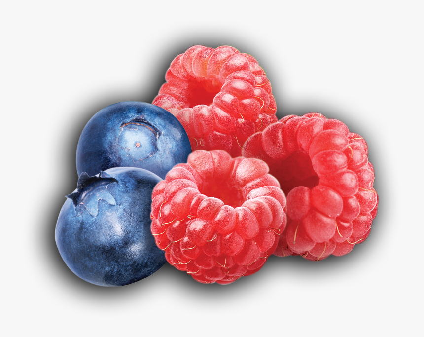 Raspberry Blueberry - Raspberry Blue Berry, HD Png Download, Free Download