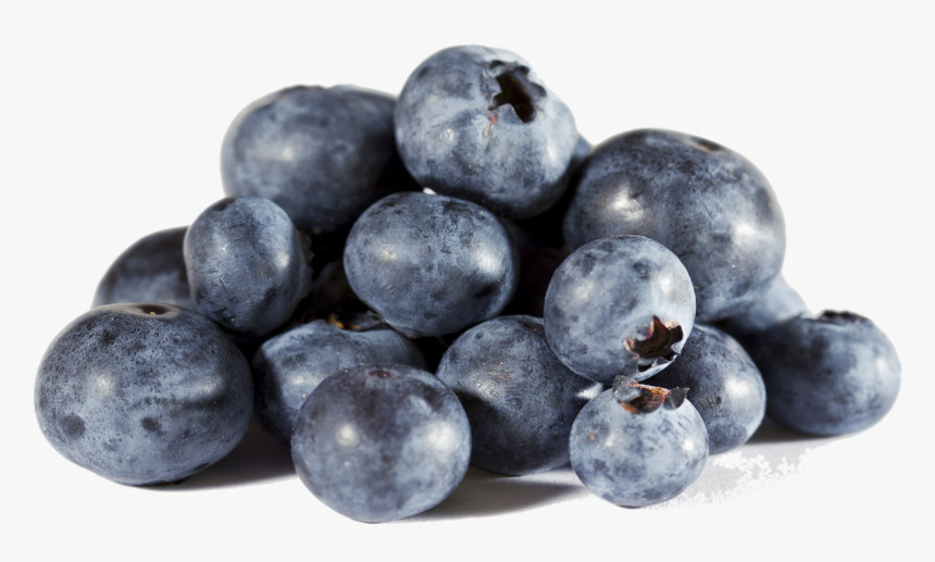 Transparent Blueberry Png - Blueberries, Png Download, Free Download