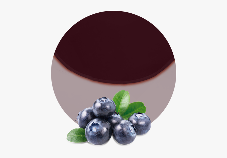 Transparent Background Blueberry Transparent, HD Png Download, Free Download