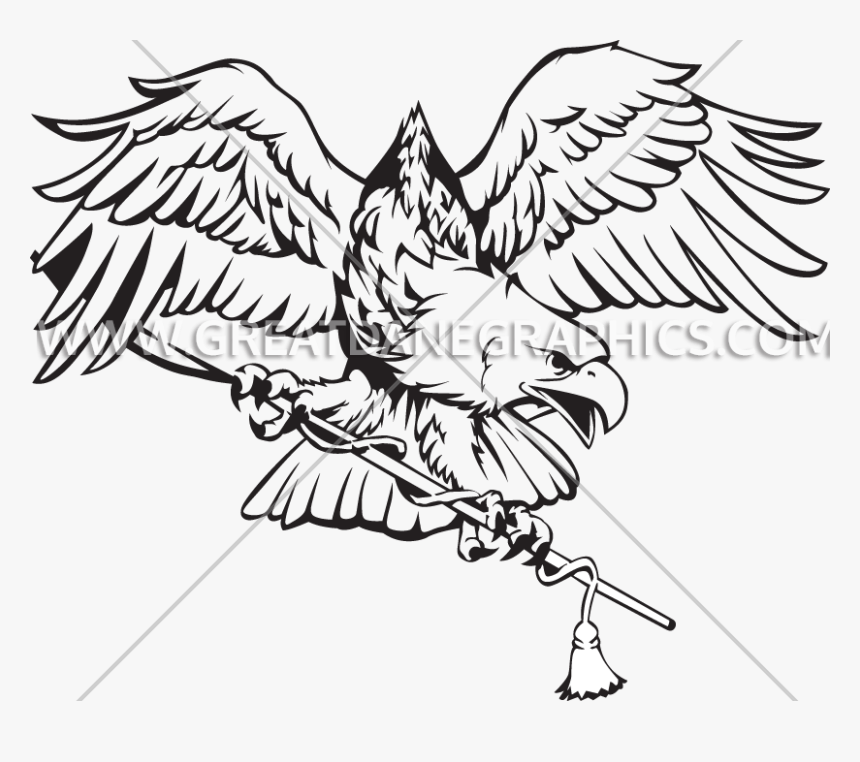 Transparent Cartoon Eagle Png - Drawing, Png Download, Free Download