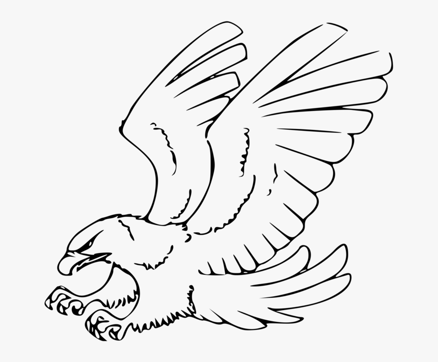 Eagle Black And White Clip Art, HD Png Download, Free Download