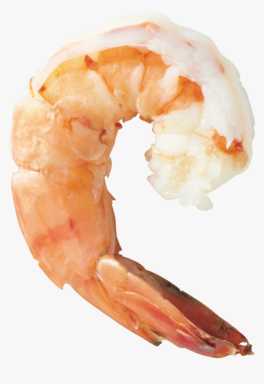 Shrimp Png, Transparent Png, Free Download