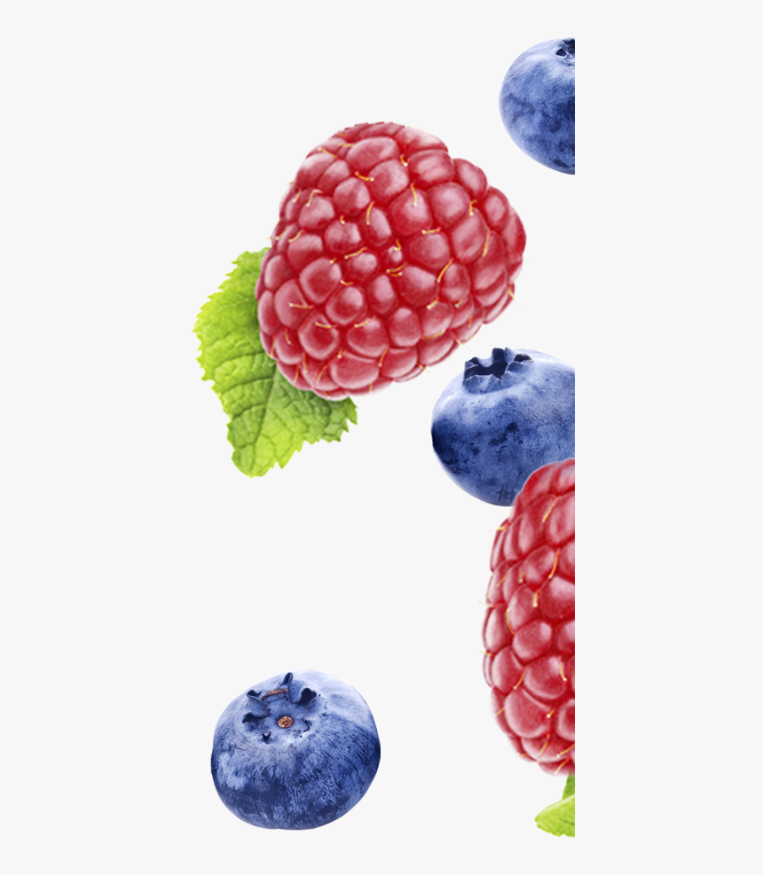 Fynbo Hindbaer Blaabaer Raspberry Blueberry Højre - Frutti Di Bosco, HD Png Download, Free Download