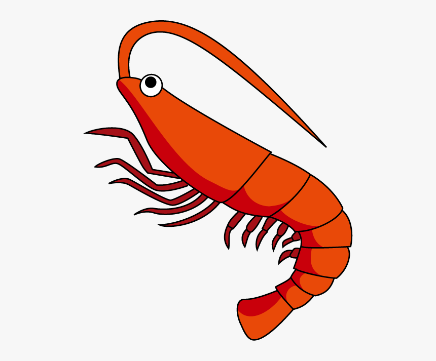 Shrimps Png Clipart Image - Clip Art Picture Of Shrimp, Transparent Png, Free Download