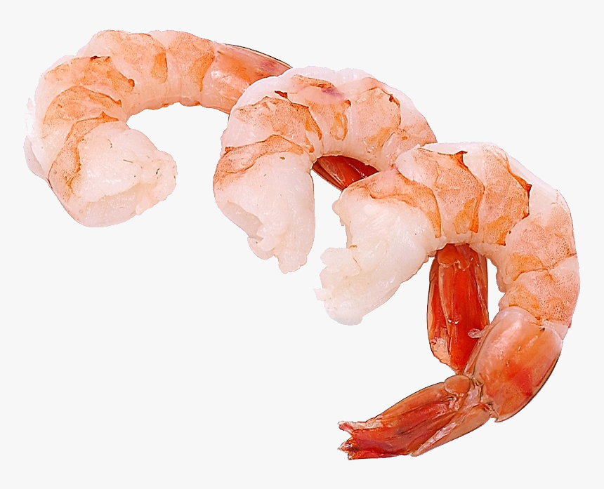 Shrimps Png - Cooked Shrimp Clipart, Transparent Png, Free Download