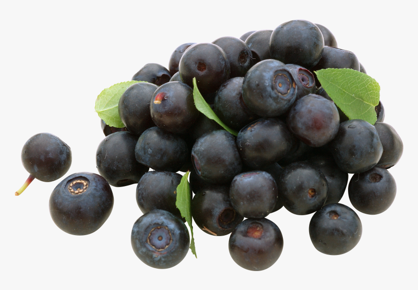 Blueberry, HD Png Download, Free Download