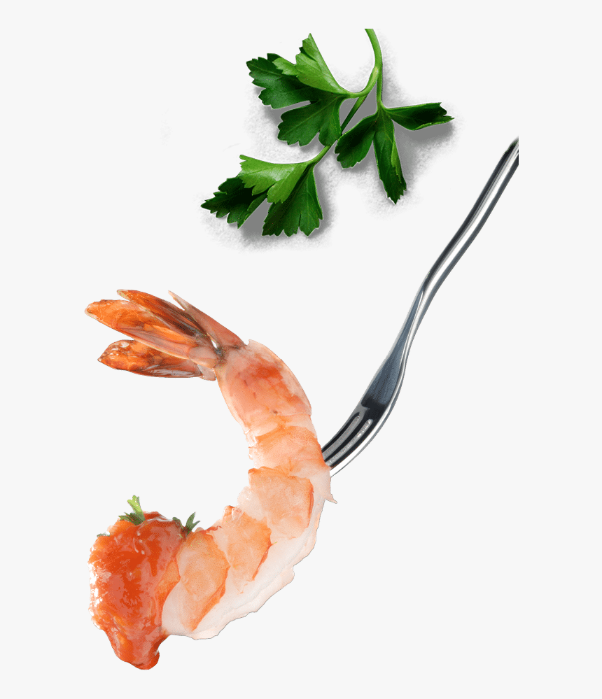 Shrimps Png , Png Download - Caridean Shrimp, Transparent Png, Free Download