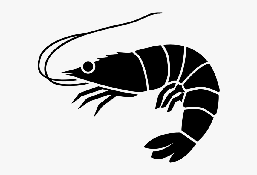 Shrimp Icon - Shrimp Black And White, HD Png Download, Free Download