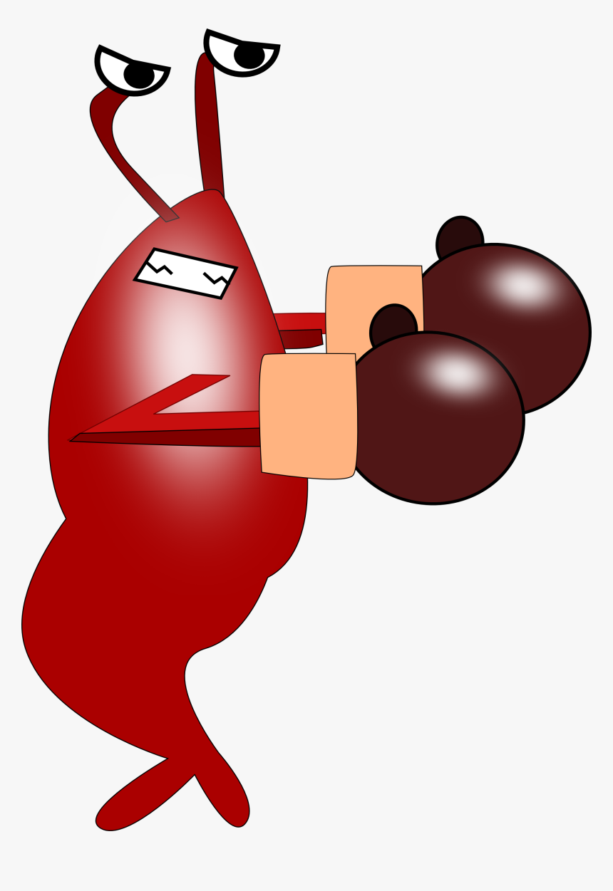 Shrimp Boxing, HD Png Download, Free Download