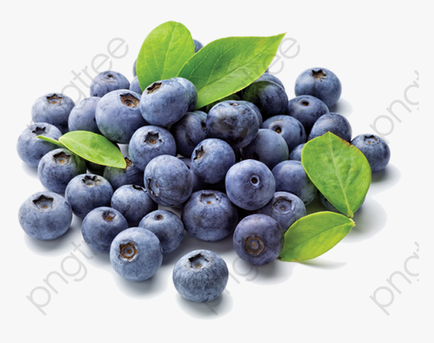 Blueberry Clipart Transparent Background - Blueberries Grown In India, HD Png Download, Free Download