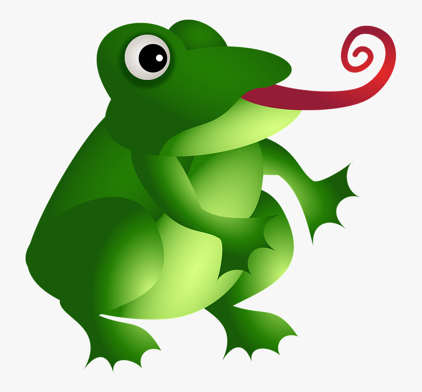 Frog Tongue Png - Dibujos De Anfibios A Color, Transparent Png, Free Download