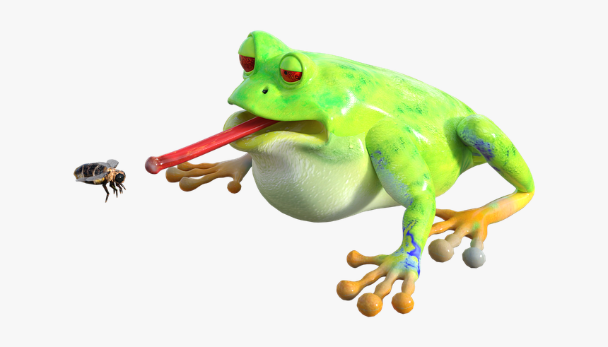 Frog Tongue Png - True Frog, Transparent Png, Free Download