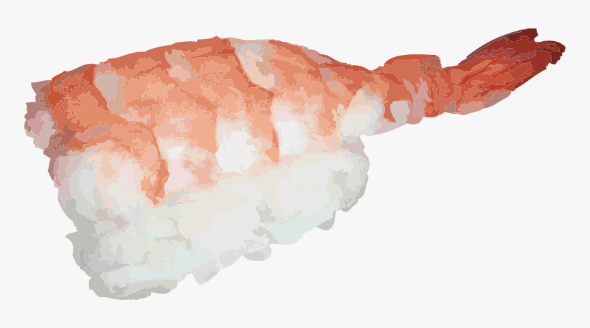 Transparent Shrimp Clipart - Nigiri Sushi Png, Png Download, Free Download