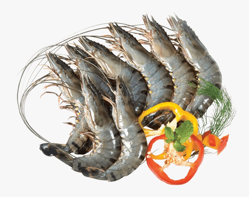 Black Tiger Shrimp 고화질, HD Png Download, Free Download