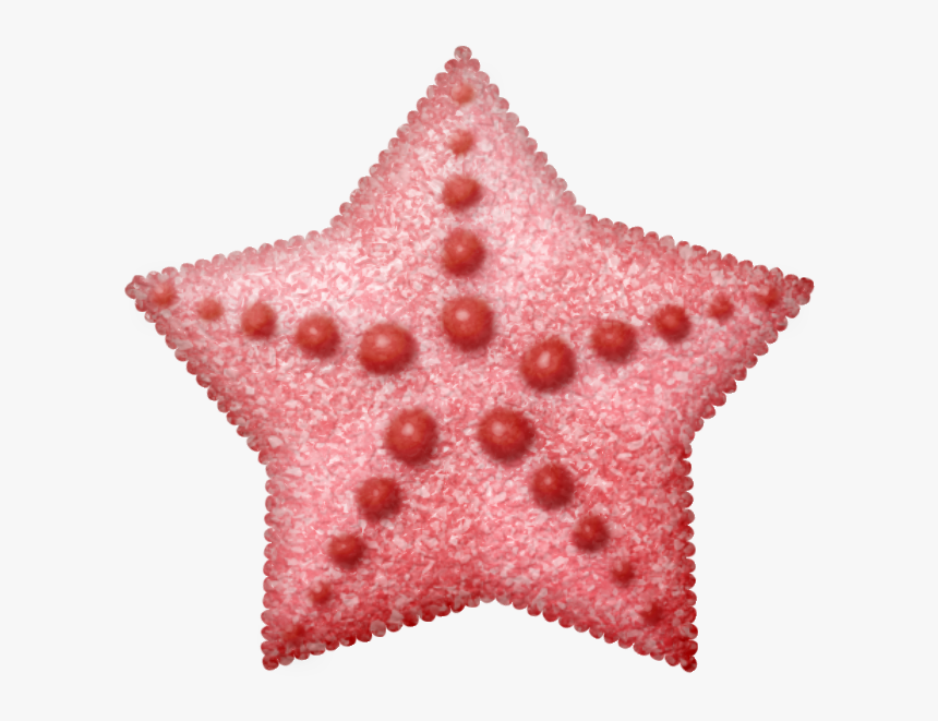 Estrellas De Mar Png - Marine Invertebrates, Transparent Png, Free Download