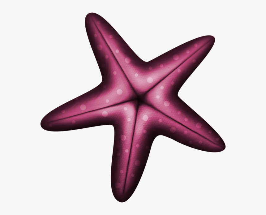 Transparent Starfish Clipart Transparent - Estrela Do Mar Png, Png Download, Free Download