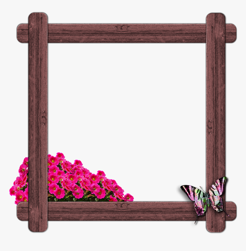 Frame Butterfly, HD Png Download, Free Download