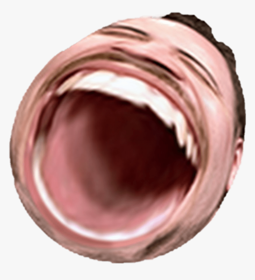 Omegalul Discord Emoji - Twitch Emote Omegalul Png, Transparent Png, Free Download