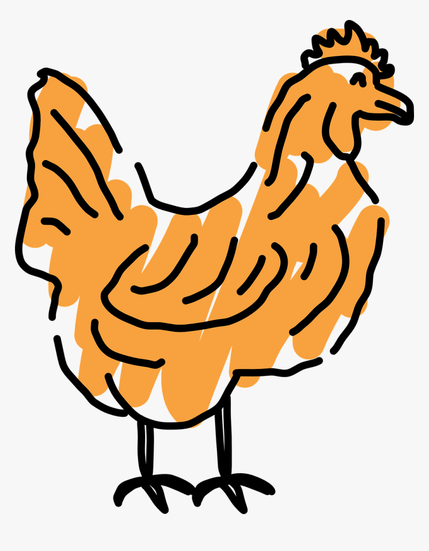 Scribble Outline, Bird, Style, Chicken, Art, Scribbled, - Buffalo Wing, HD Png Download, Free Download