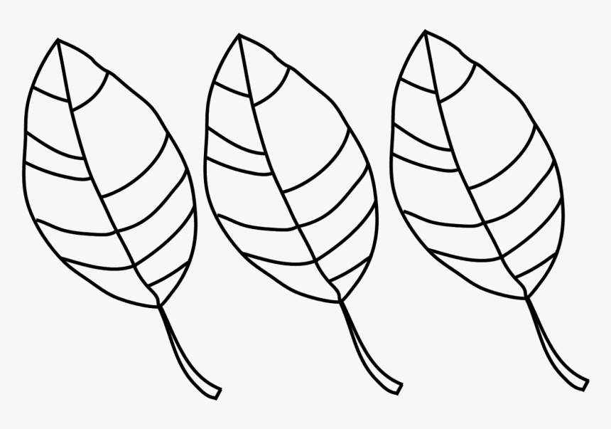 Leaves To Colour, HD Png Download, Free Download