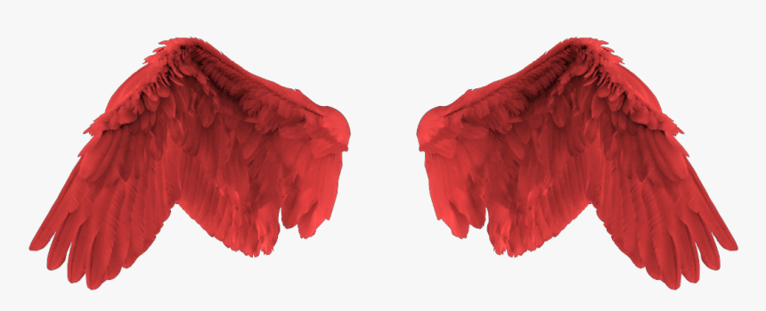 Red Angel Wing , Png Download - Red Angel Wings Png, Transparent Png, Free Download