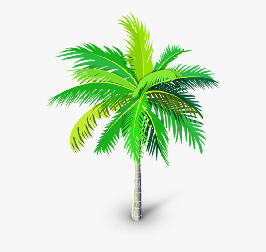 Transparent Background Palm Tree Png, Png Download, Free Download