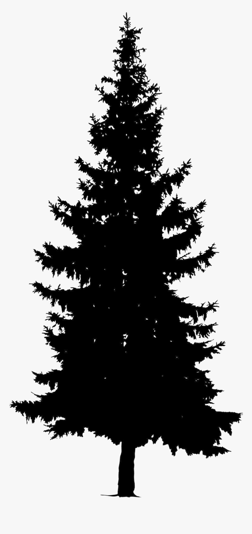 Transparent Christmas Tree Vector Png - Pine Tree Vector Png, Png Download, Free Download