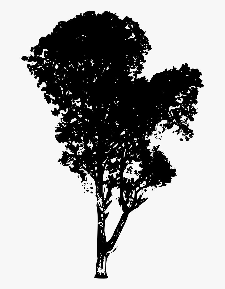 Tree Silhouette - Tree Silhouette Png Transparent Background, Png Download, Free Download