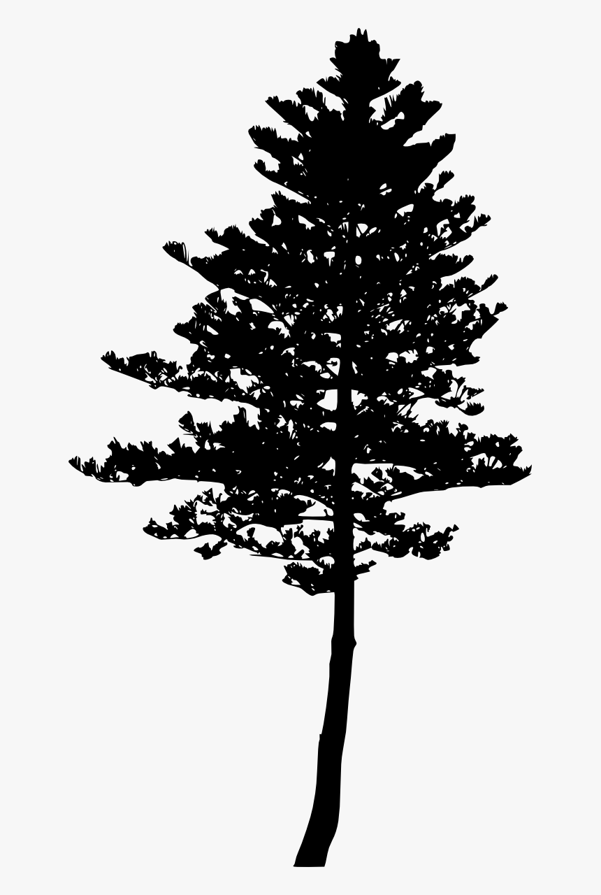 Pine Silhouette Png - Pine Tree Silhouette Png, Transparent Png, Free Download