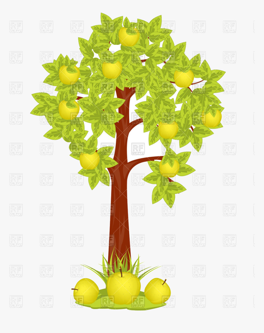 Apple Tree Vector Image Illustration Of Plants And - Yellow Apple Tree Clipart, HD Png Download, Free Download